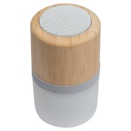 Promo  Bluetooth speaker Haarlem