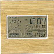 Bamboo weather station, bamboo